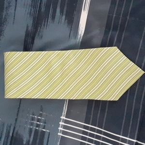 100% silk Izod men's neck tie. EUC.